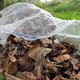 Lístie pozbierajme do rašlových vriec a uskladnime ich na neskoršie použitie
